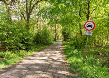 WIJNJEWOUDE