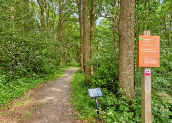 Veenendaal
