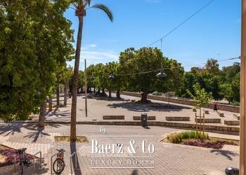 Palma