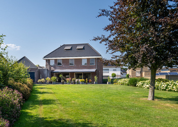 SCHIMMERT