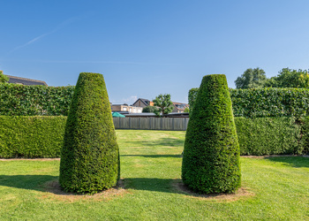 SCHIMMERT