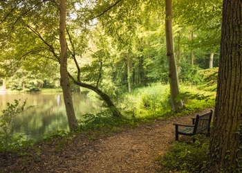 TERWOLDE