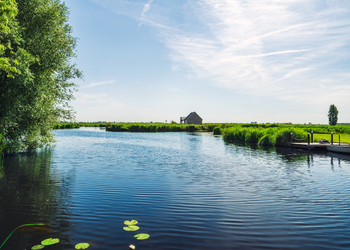 DEN ILP