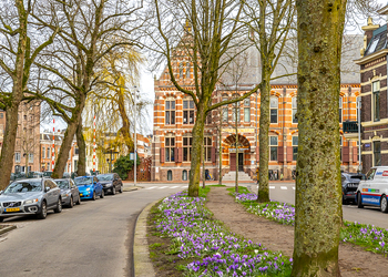 GRONINGEN