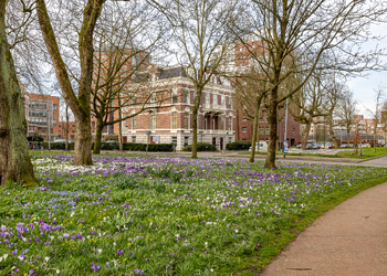 GRONINGEN
