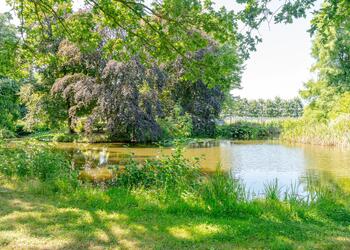 NIGTEVECHT