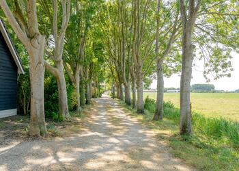NIGTEVECHT