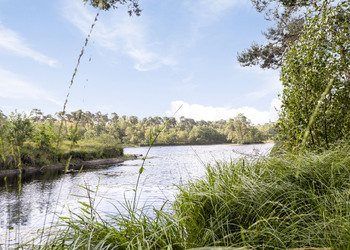 OISTERWIJK