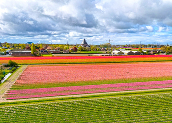LISSE