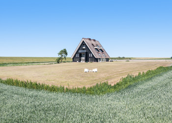WIERUM