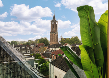 LOENEN AAN DE VECHT