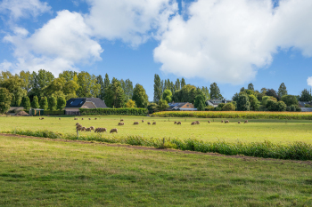 BERGSCHENHOEK