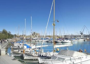 Palma