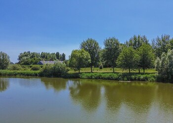 Rhoon