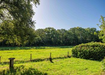 SCHOORL