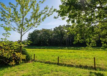 SCHOORL