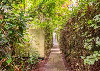 SCHOORL