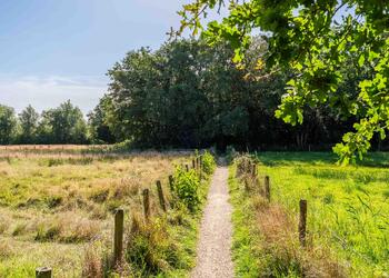 SCHOORL