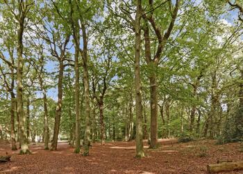 'S-GRAVENHAGE