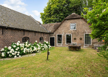 ZWAMMERDAM