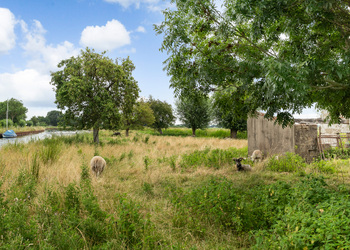 ZWAMMERDAM