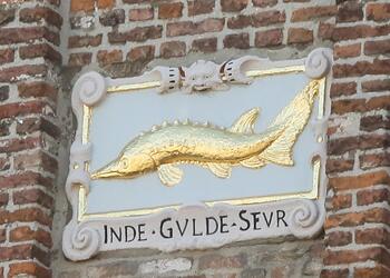 'S-HERTOGENBOSCH
