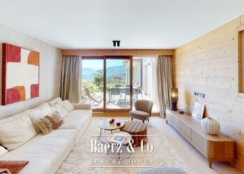 L ALPE D HUEZ