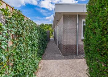 HELMOND