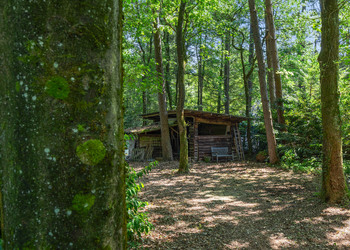 BEEKBERGEN