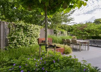 AALSMEER