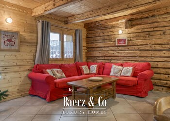 LES SAISIES