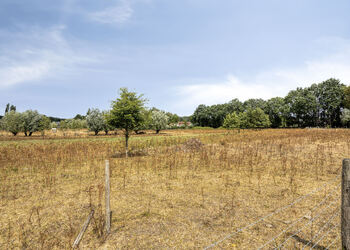 HOOGERHEIDE