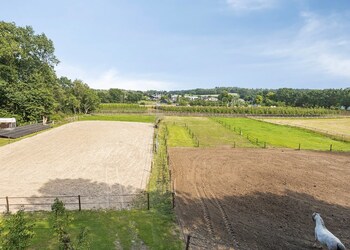 Rhenen